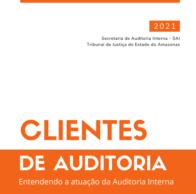 clientes auditoria tjam