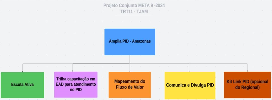 Infográfico do projeto Ampliação dos Pontos de Inclusão Digital – Nível 2: promovendo o acesso à Justiça aos povos tradicionais da Amazônia